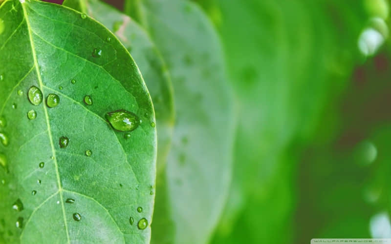 幽默哲理句子：天上有雨地上滑，自己跌倒自己爬。不靠神来不靠鬼，就靠自己胳膊腿