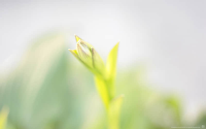 情人节想要在一起的说说：原谅我的自私，我只想在你不知道的地方，默默爱你，默默付出，默默无言