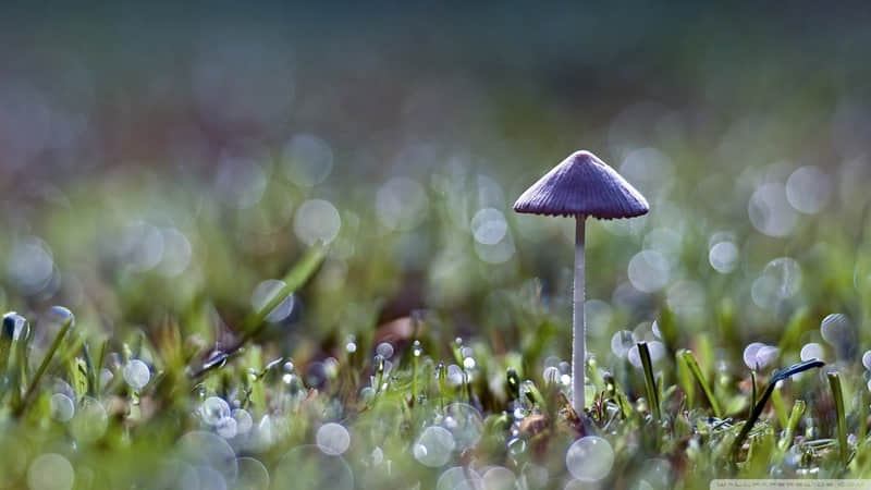 十条短句：万里繁华化烟花，终抵不过你回眸之间，笑颜如花