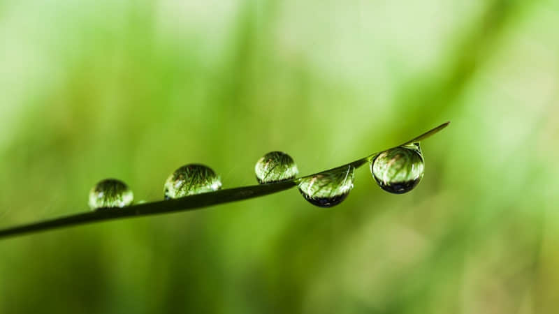 微信朋友圈令人黯然心动的唯美古风语录：谁，清风问我，夜雨凋零，人间是非，错过一个朦胧