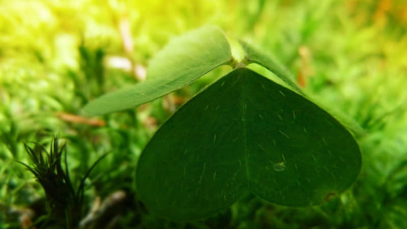 喝酒的段子精辟句子(精选63句)