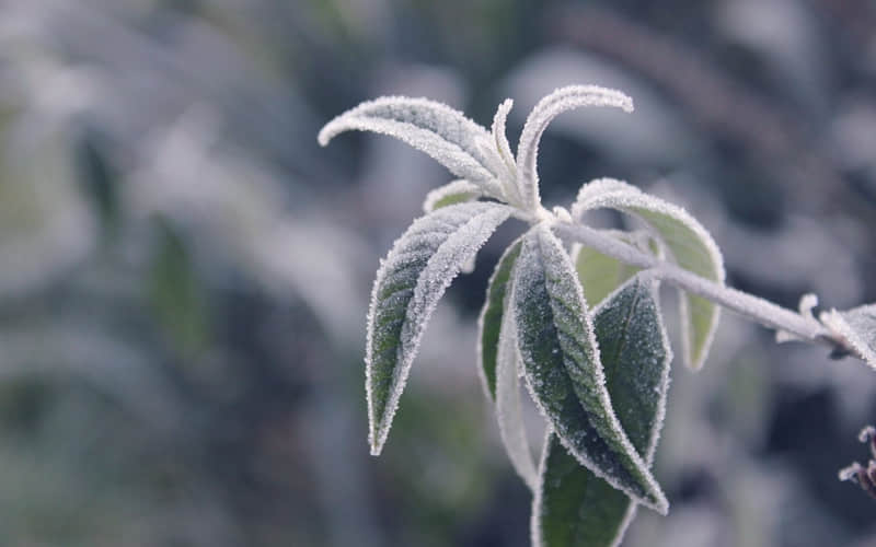 最新搞笑说说：赚钱像接露水那么辛苦，花钱却像流水那么迅速