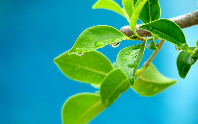 雷人说说：苍茫大地一剑尽挽破，何处繁华笙歌落