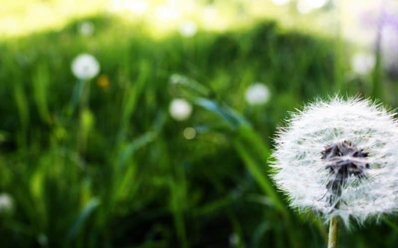 教师节对老师说的话感谢话 感恩老师最暖心一段话