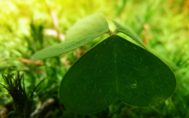 浪漫爱情歌词说说大全：你比自己更重要我也希望变更好──梁静茹《暖暖》