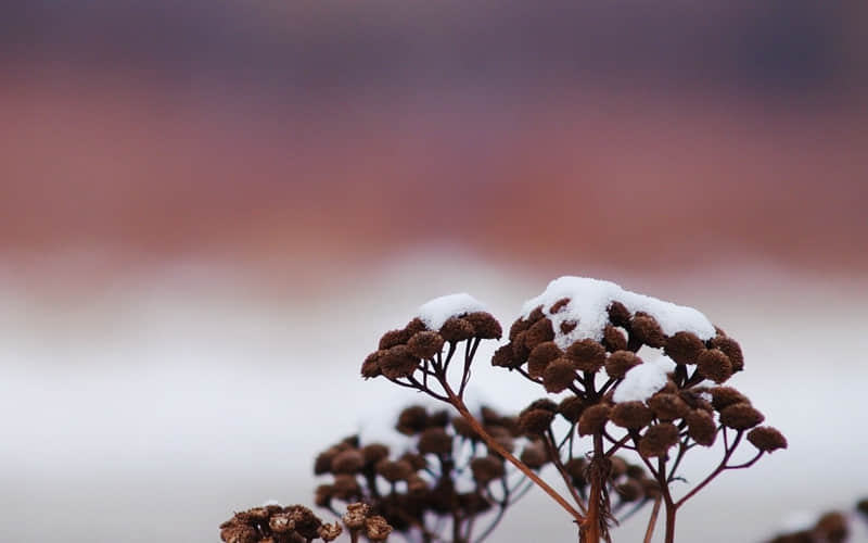 空间搞笑内涵说说：这么多年谁一直照顾你啊？我很佩服他的胆量