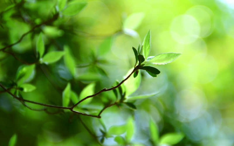 生活简简单单的幸福说说 幸福很简单的经典句子