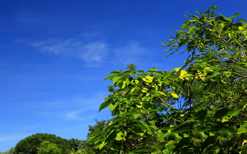 让对方答应你的甜美告白句子 超级甜美的告白语录