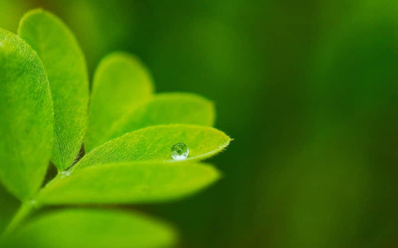 忙碌的生活很充实的句子 忙碌充实正能量的说说