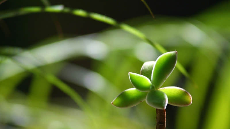 祝老公生日快乐的简单祝福语 老公生日快乐最暖心短句